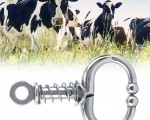 Cattle Nose Ring - Bangladesh