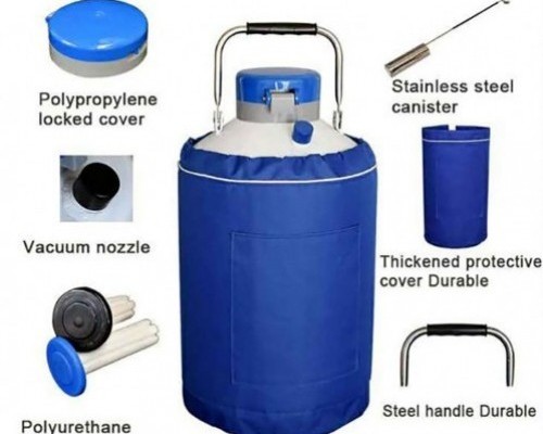 35 Liter Capacity Dairy Farm Liquid Nitrogen Container - Bangladesh