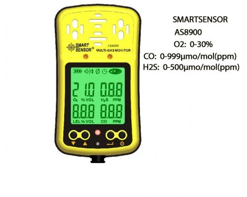Multi-Gas Monitor - Bangladesh